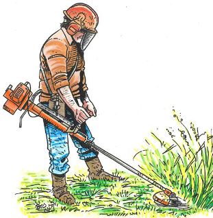 logo_debroussaillement.JPG
